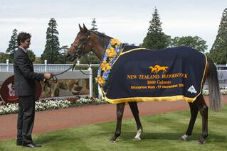 Rollout The Carpet (Holy Roman Emperor) has a current bid of AUD$30,000. 